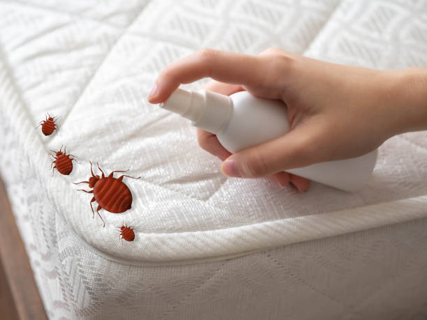 Pest Control Cost in Iselin, NJ